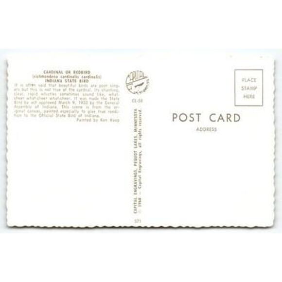 Vintage 1968 Indiana State Bird Cardinal Postcard by Ken Haag - Picture 2 of 2